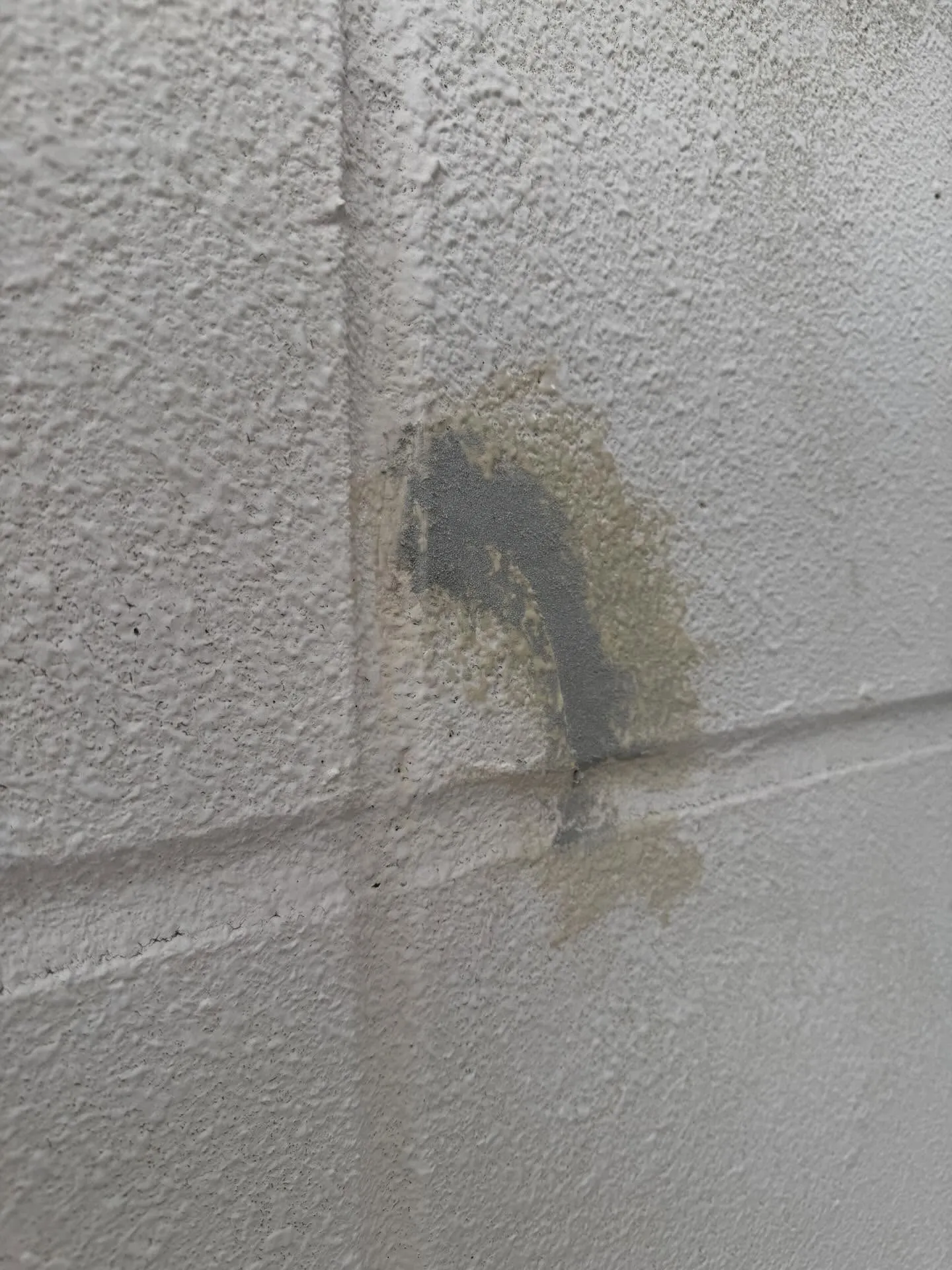 守口市のビルの外壁塗装工事がスタートしました🎉まずは、外壁の...