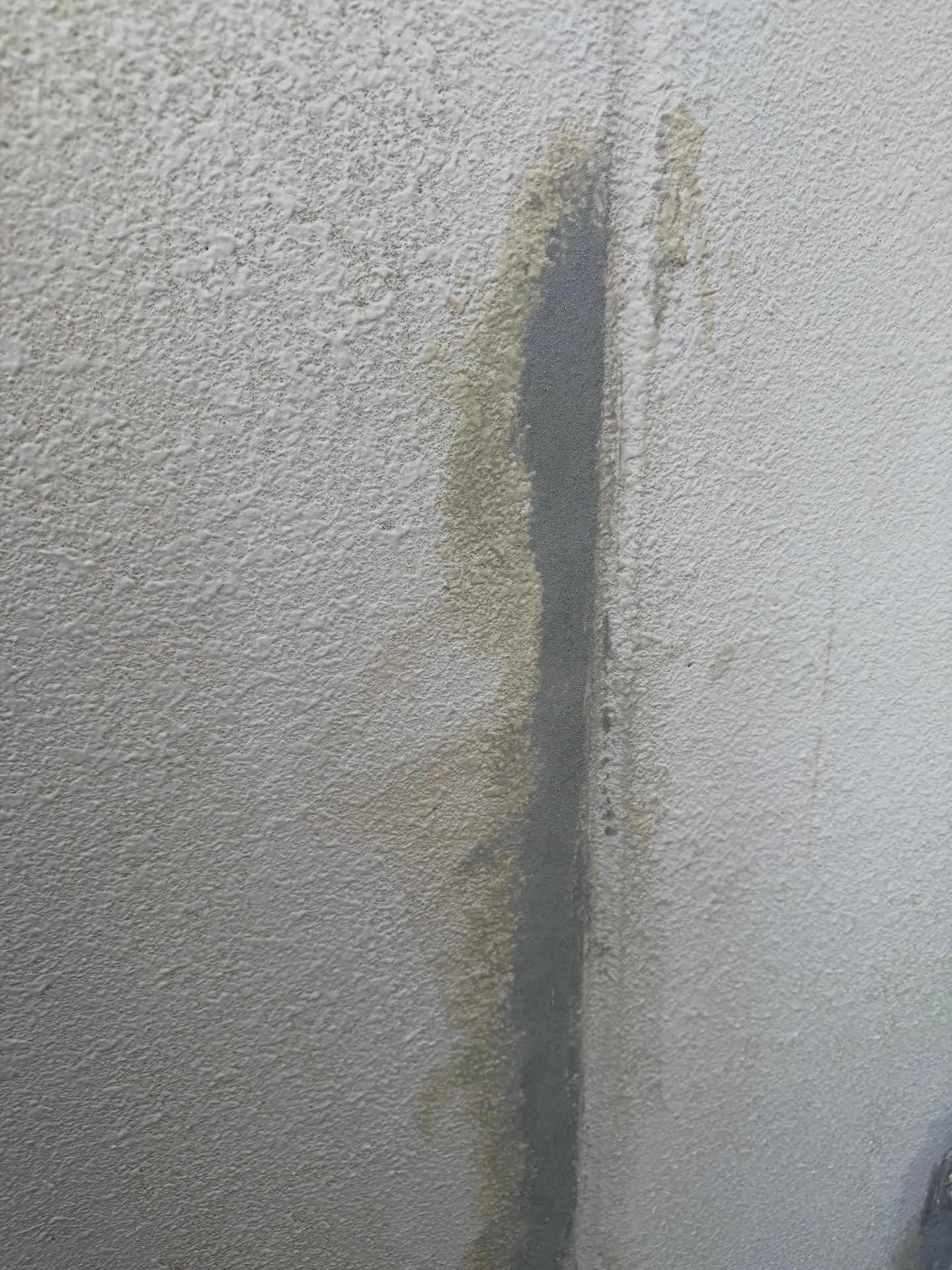 守口市のビルの外壁塗装工事がスタートしました🎉まずは、外壁の...