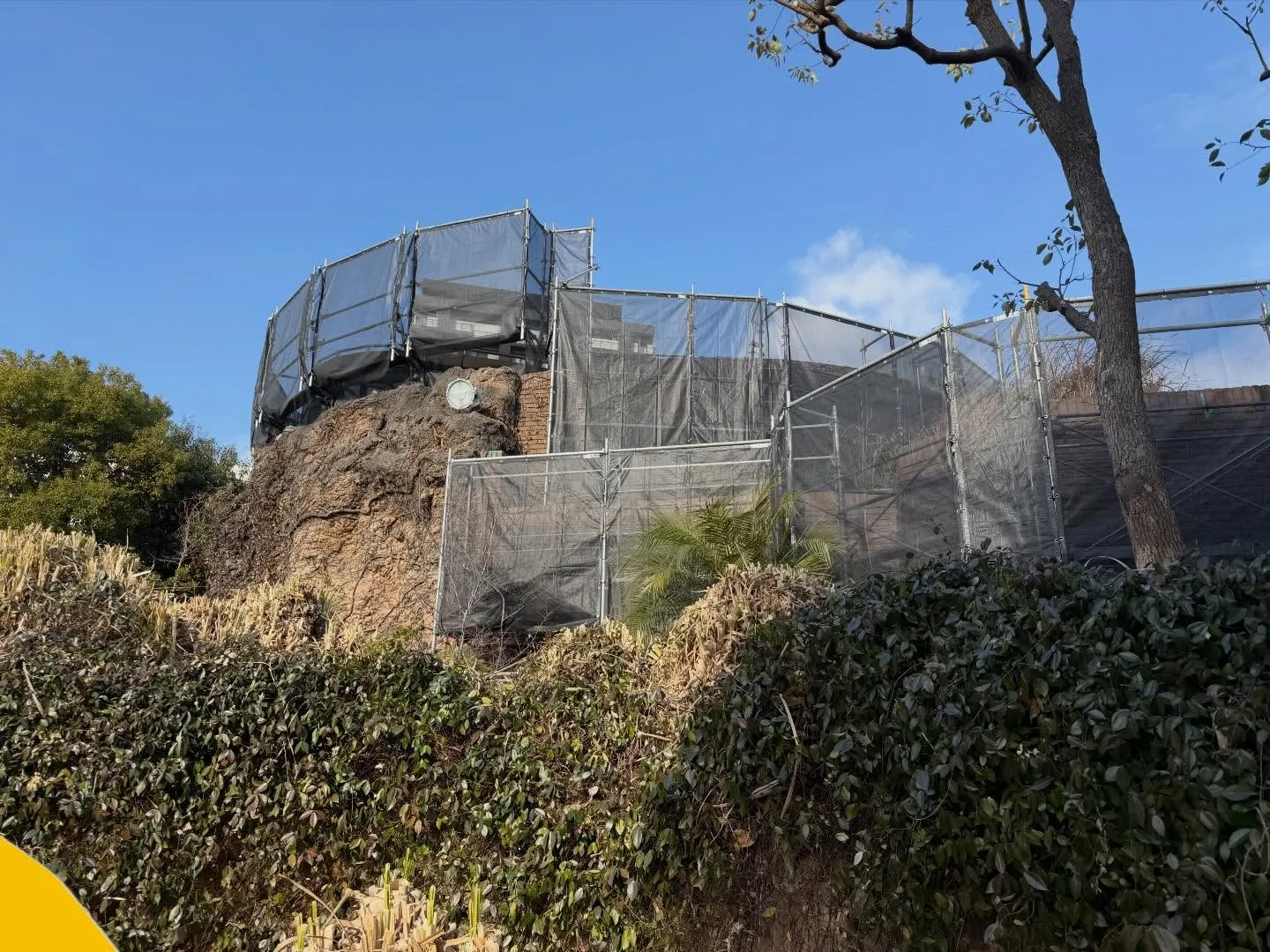 今日は来週から始まる天王寺動物園での工事現場の打ち合わせに行...