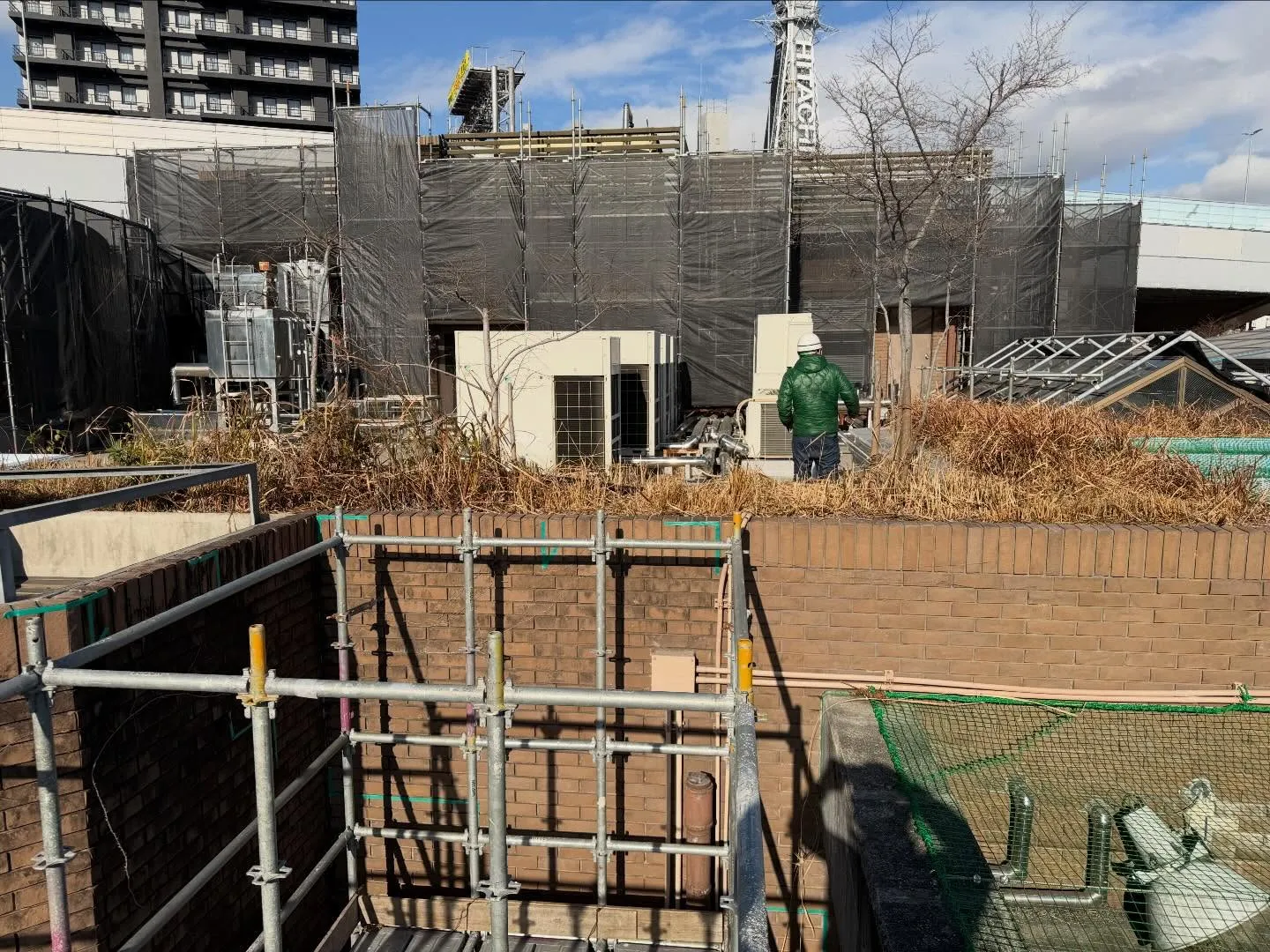 今日は来週から始まる天王寺動物園での工事現場の打ち合わせに行...