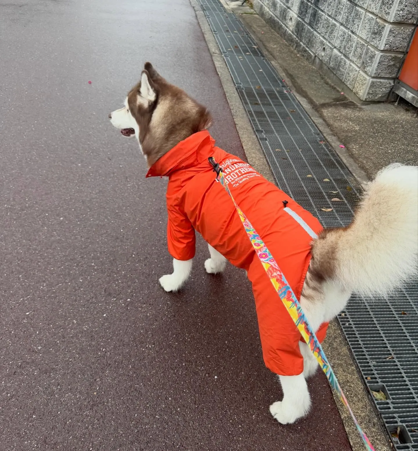 今日はあいにくの天気で、外の現場はすべてお休みになりました。