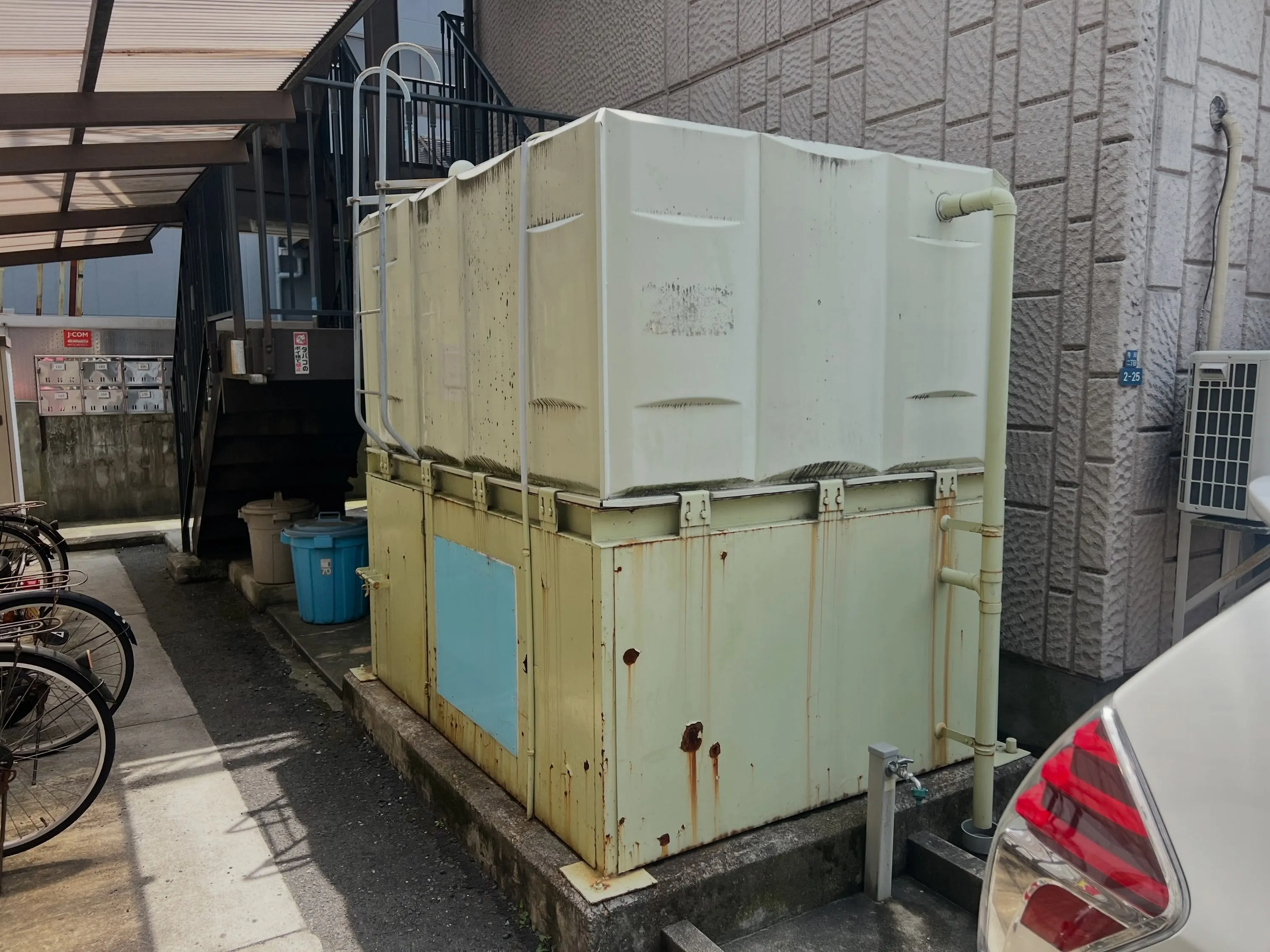 新しいマンションの壁が新たな命を得ました！
